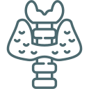 Médico Especialista en Endocrinología en Medellín, Antioquia